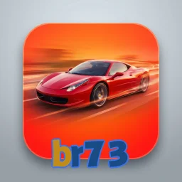 br73